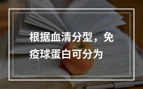 根据血清分型，免疫球蛋白可分为