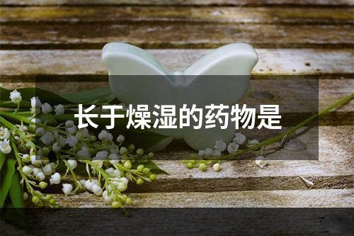 长于燥湿的药物是