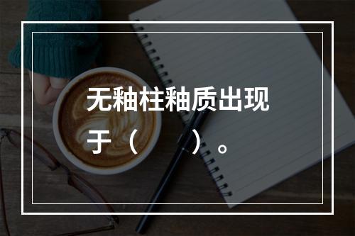 无釉柱釉质出现于（　　）。