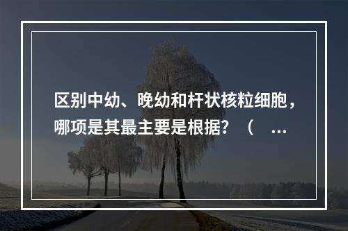 区别中幼、晚幼和杆状核粒细胞，哪项是其最主要是根据？（　　）