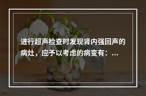 进行超声检查时发现肾内强回声的病灶，应予以考虑的病变有：①