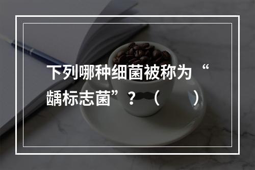 下列哪种细菌被称为“龋标志菌”？（　　）