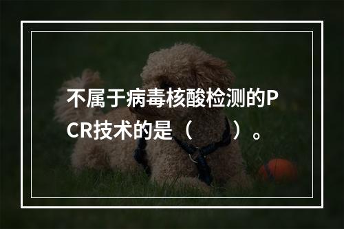 不属于病毒核酸检测的PCR技术的是（　　）。