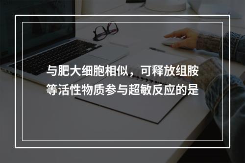 与肥大细胞相似，可释放组胺等活性物质参与超敏反应的是