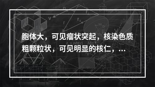 胞体大，可见瘤状突起，核染色质粗颗粒状，可见明显的核仁，胞浆