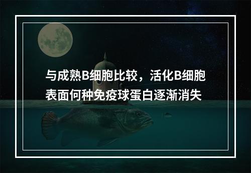 与成熟B细胞比较，活化B细胞表面何种免疫球蛋白逐渐消失