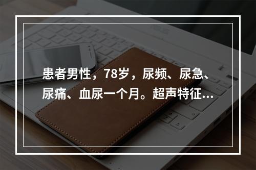 患者男性，78岁，尿频、尿急、尿痛、血尿一个月。超声特征：