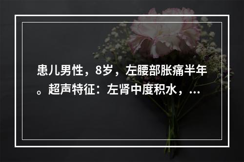 患儿男性，8岁，左腰部胀痛半年。超声特征：左肾中度积水，左