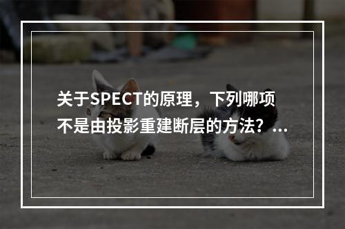 关于SPECT的原理，下列哪项不是由投影重建断层的方法？（