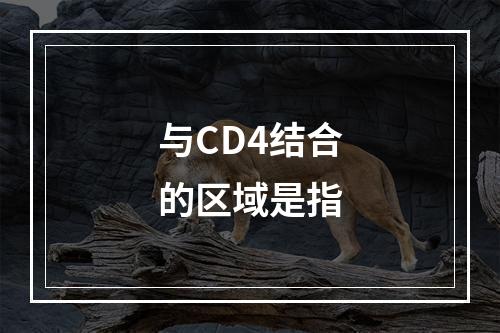 与CD4结合的区域是指