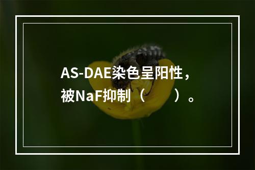 AS-DAE染色呈阳性，被NaF抑制（　　）。