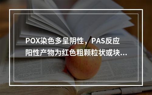 POX染色多呈阴性，PAS反应阳性产物为红色粗颗粒状或块状，