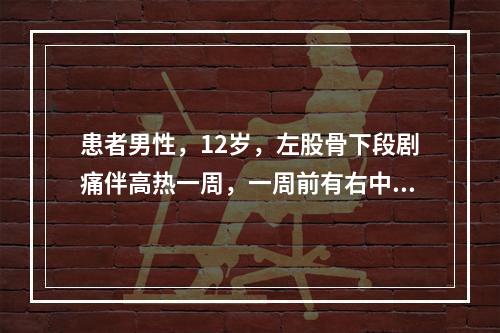 患者男性，12岁，左股骨下段剧痛伴高热一周，一周前有右中耳