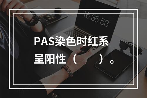 PAS染色时红系呈阳性（　　）。