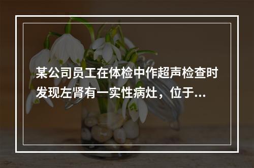 某公司员工在体检中作超声检查时发现左肾有一实性病灶，位于肾