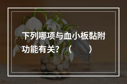 下列哪项与血小板黏附功能有关？（　　）