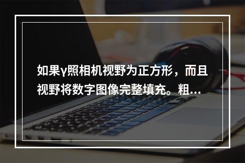 如果γ照相机视野为正方形，而且视野将数字图像完整填充。粗略