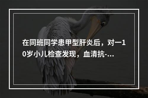 在同班同学患甲型肝炎后，对一10岁小儿检查发现，血清抗-H