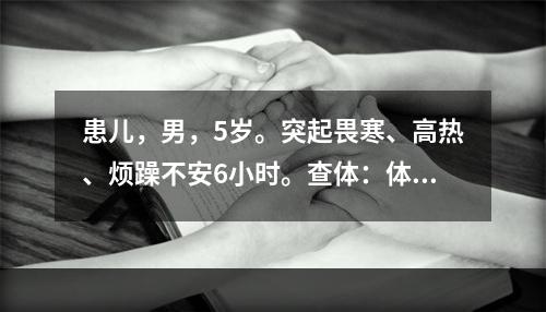 患儿，男，5岁。突起畏寒、高热、烦躁不安6小时。查体：体温