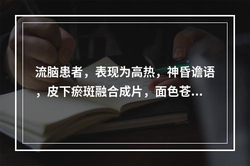 流脑患者，表现为高热，神昏谵语，皮下瘀斑融合成片，面色苍白