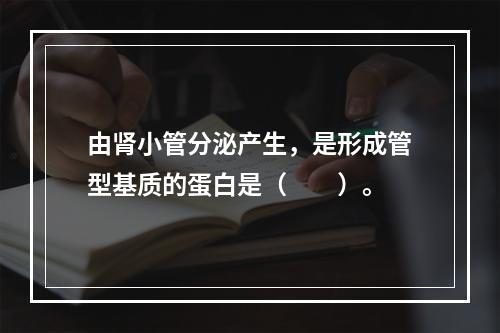 由肾小管分泌产生，是形成管型基质的蛋白是（　　）。