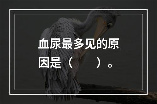 血尿最多见的原因是（　　）。