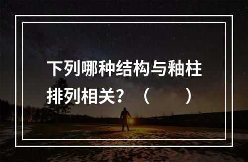 下列哪种结构与釉柱排列相关？（　　）