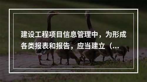 建设工程项目信息管理中，为形成各类报表和报告，应当建立（　）