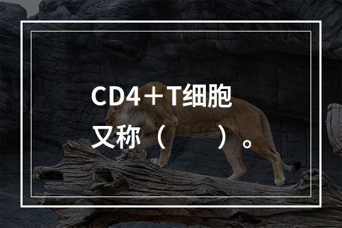 CD4＋T细胞又称（　　）。