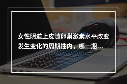 女性阴道上皮随卵巢激素水平改变发生变化的周期性内，哪一期角化