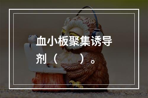 血小板聚集诱导剂（　　）。