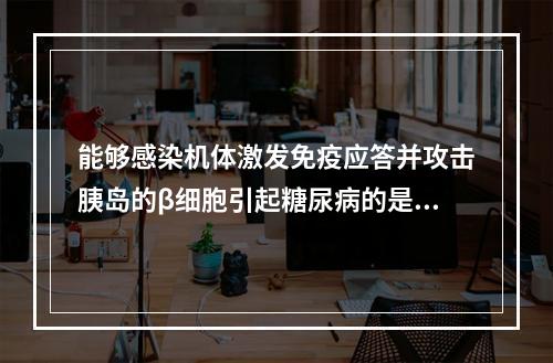 能够感染机体激发免疫应答并攻击胰岛的β细胞引起糖尿病的是（　