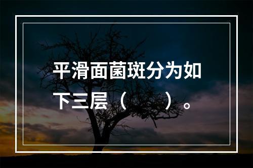 平滑面菌斑分为如下三层（　　）。