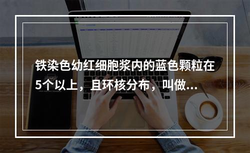 铁染色幼红细胞浆内的蓝色颗粒在5个以上，且环核分布，叫做（　