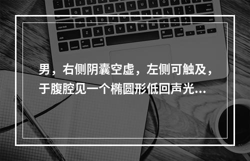 男，右侧阴囊空虚，左侧可触及，于腹腔见一个椭圆形低回声光团