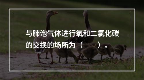 与肺泡气体进行氧和二氯化碳的交换的场所为（　　）。