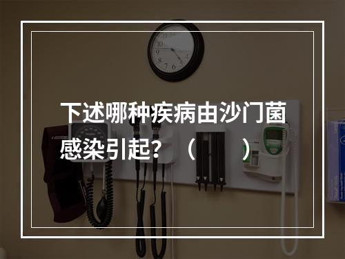 下述哪种疾病由沙门菌感染引起？（　　）