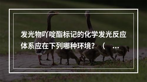 发光物吖啶酯标记的化学发光反应体系应在下列哪种环境？（　　）