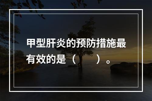 甲型肝炎的预防措施最有效的是（　　）。