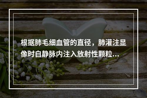 根据肺毛细血管的直径，肺灌注显像时自静脉内注入放射性颗粒的