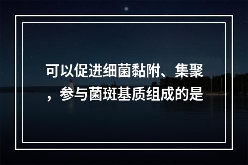 可以促进细菌黏附、集聚，参与菌斑基质组成的是