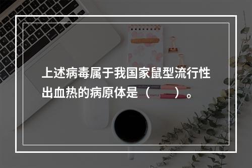 上述病毒属于我国家鼠型流行性出血热的病原体是（　　）。