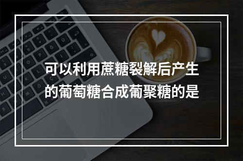 可以利用蔗糖裂解后产生的葡萄糖合成葡聚糖的是