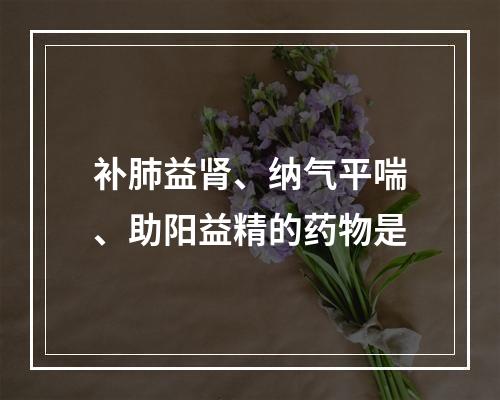 补肺益肾、纳气平喘、助阳益精的药物是