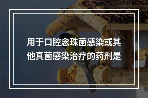 用于口腔念珠菌感染或其他真菌感染治疗的药剂是