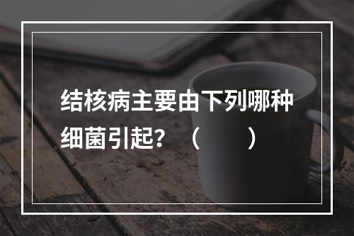 结核病主要由下列哪种细菌引起？（　　）