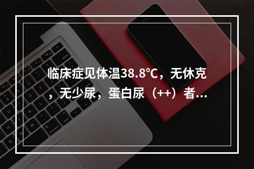 临床症见体温38.8℃，无休克，无少尿，蛋白尿（++）者属于