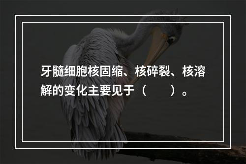 牙髓细胞核固缩、核碎裂、核溶解的变化主要见于（　　）。