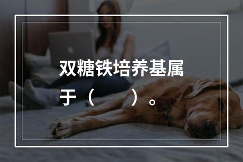 双糖铁培养基属于（　　）。