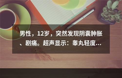 男性，12岁，突然发现阴囊肿胀、剧痛。超声显示：睾丸轻度肿